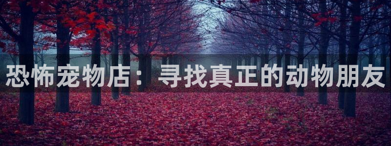 彻夜之歌漫画免费下拉式漫画之家：恐怖宠物店：寻找真正的动物朋友