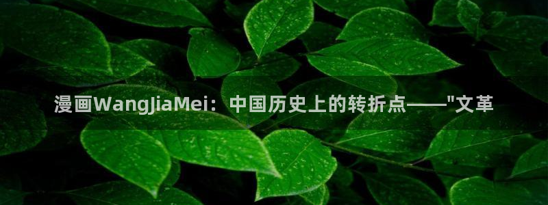 漫画之家网址：漫画WangJiaMei：中国历史上的转折点——\
