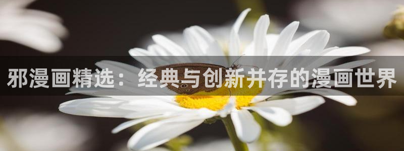 漫画之家