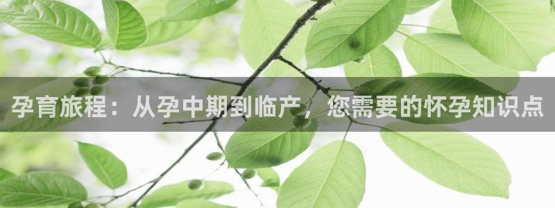 羞羞漫画之家庭教师