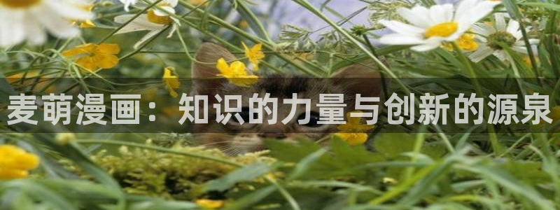 漫画之家官网入口