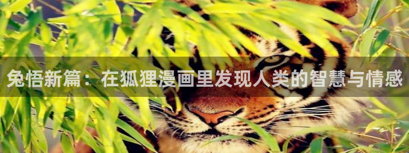 漫画之家app安装