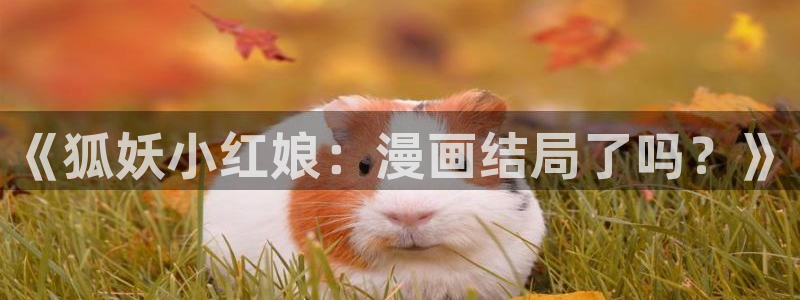 漫画之家app官网