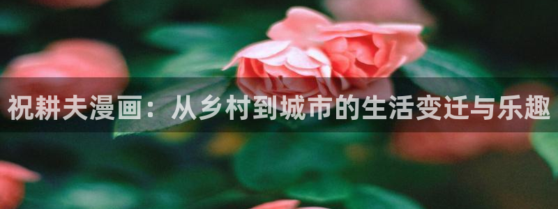 漫画之家免费阅读