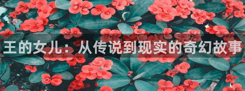 漫画之家网页版登录入口