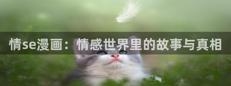 漫画之家为什么不能看了：情se漫画：情感世界里的故事与真相