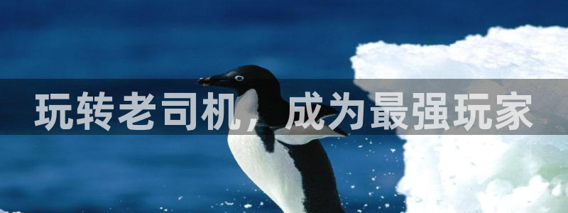漫画之家免费漫画入口页面：玩转老司机，成为最强玩家