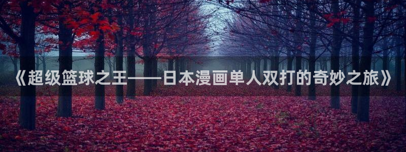 漫画之家下载安装：《超级篮球之王——日本漫画单人双打的奇妙之旅》