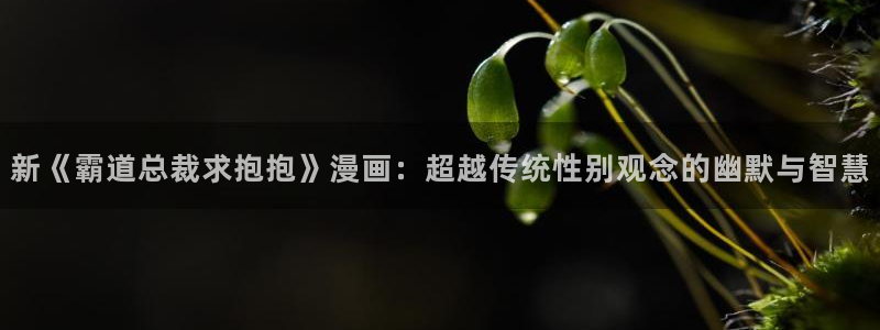 免费漫画之家：新《霸道总裁求抱抱》漫画：超越传统性别观念的幽默与智慧