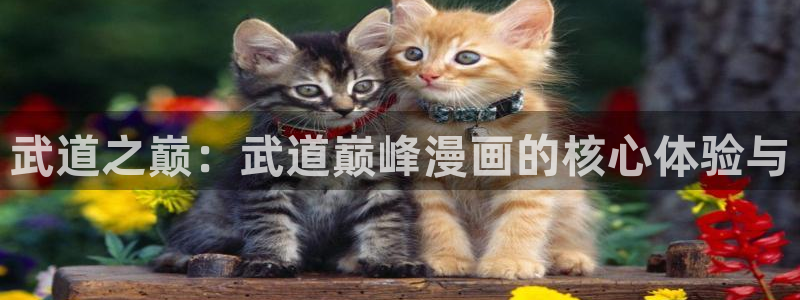 漫画之家漫画网入口：武道之巅：武道巅峰漫画的核心体验与