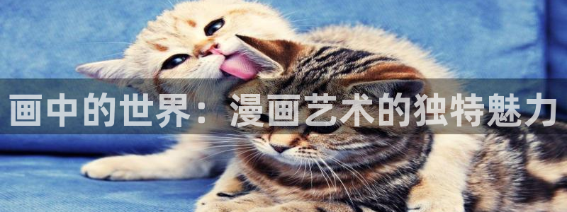 漫画之家官方正版入口：画中的世界：漫画艺术的独特魅力