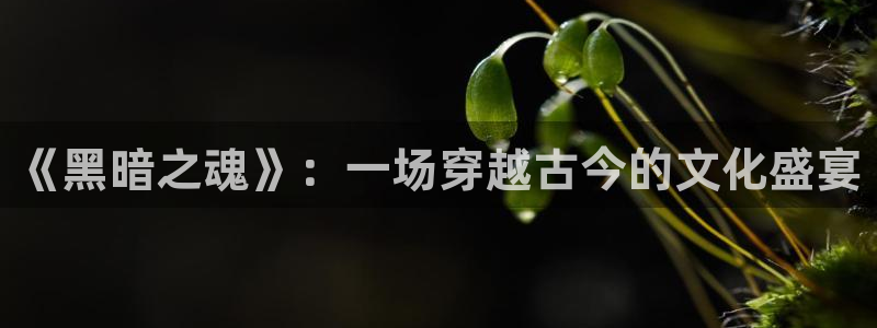 漫画之家.：《黑暗之魂》：一场穿越古今的文化盛宴