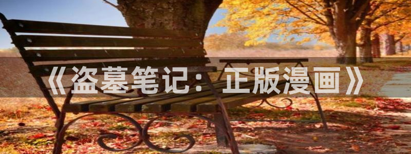 彻夜之歌漫画免费漫画之家：《盗墓笔记：正版漫画》