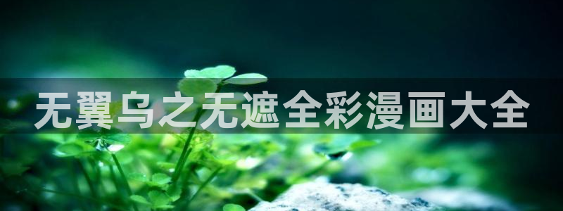 漫画之家无广告：无翼乌之无遮全彩漫画大全