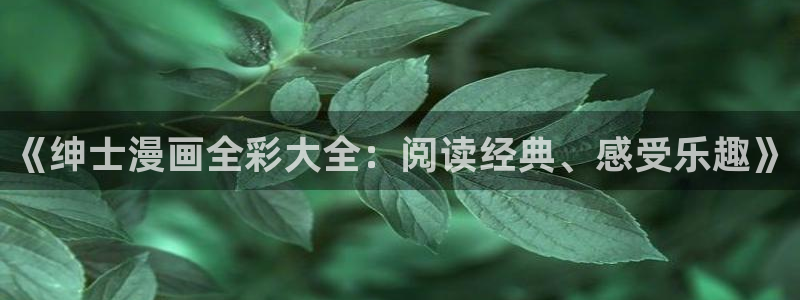 漫画之家韩漫免费观看：《绅士漫画全彩大全：阅读经典、感受乐趣》