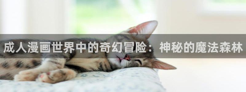 漫画之家漫画网入口：成人漫画世界中的奇幻冒险：神秘的魔法森林